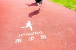 Durable Sandwich Running Track Eco Friendly Spray Coat Sports Flooring SBR