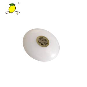 China Energy Efficiency Bluetooth Music Lamp / Dimmable LED Ceiling Light Charge Time 6-8 Hours factory