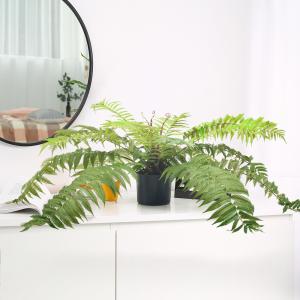 China Pu Artificial Potted Floor Plants For Garden Decoration factory