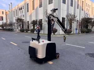 China Non Standard Electric Counter Balance Forklift Truck with Crane Arm Length 2480 mm 24V 210AH factory