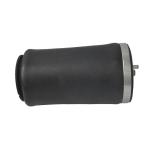 X5 E53 2000-2006 BMW Air Suspension Parts Rear Air Bag 37126750355 37126750356