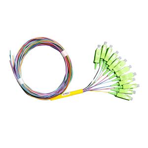 China 12 Core Pigtail SC APC , OD 0.9mm 1550nm Single Mode Fiber Pigtails factory