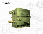 YPKK Cage Inverter Three Phase Asynchronous Motor 3000RPM IP55 6000KW