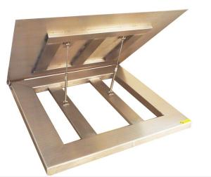 China Waterproof Floor Weighing Scales factory