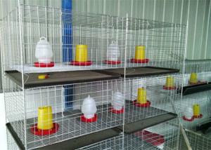 China A Type RTL Chicken Cage / 3 Tier 5 Doors Galvanized Layer Poultry Cage For Broilers factory
