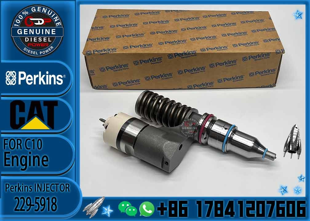 Diesel Engine Fuel Injector 229-5918 For CAT C10 C11 C12 C13 Diesel Engine 3176 3196 Excavator