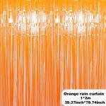 Birthday Party Background Photo Booth Fringe Tassel Door Foil Curtain