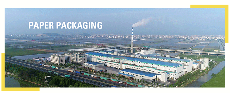 Corrugated Seed Paper Packaging Box Inserts For Ukulele Shipping By Air