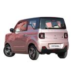 Adult Electric EV Small Car Geely Panda Used Compact Car Fast Charging
