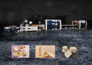 China Compostable Lunch Fast Food Box Forming Machine factory