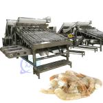 Industrial Shrimp Grading Machine Anti corrosion Multipurpose