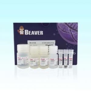 China BeaverBeads Tissue DNA Kit 100 Rxns For Multiple Complex Samples on sale