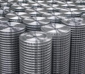 China Premium Welded Wire Mesh Panels &amp; Rolls – Industrial Strength, Versatile Solutions factory