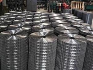 China Protect 0.5mm 1/4X1/4 Galvanized Welded Wire Mesh Stainless Steel factory