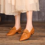HZM049 Single Shoes Women'S Spring New Thick Heel Pointed Literary Single Shoes