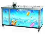 Ice Lolly Commercial Refrigerator Freezer Sk Series Stainless Steel