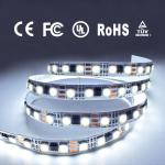 Low Voltage 12V 24V SMD 5050 LED Strip Light Monochrome Water Lamp With Silicone