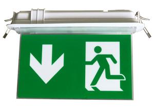 China Industrial LED Plastic Green Running Man Sign Ceiling Recessed Emergency Light factory