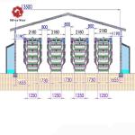 Full Automatic Hot Dipped Broiler Chicken Cage H Type