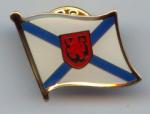 pin badges, lapel pin, football pin, emblem, enamel badge, printing badge,