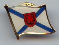 pin badges, lapel pin, football pin, emblem, enamel badge, printing badge,