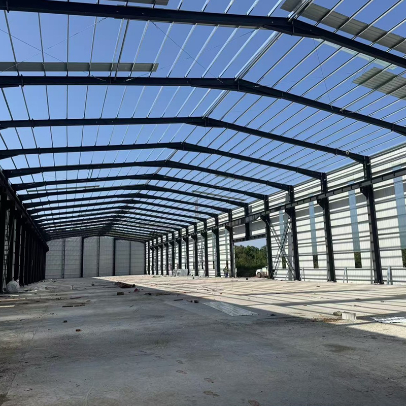 Quick and Easy Installation Customized Color Prefabricated Warehouse Steel Structure Building with Steel Door