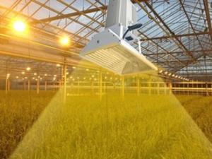 China High Reflectivity HID Grow Lights B281 , GrowBetter Grow Lights For Indoor Plants factory