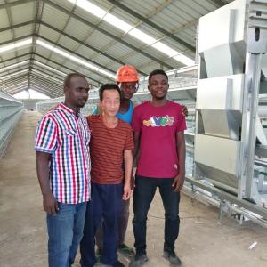 China Chicken House Laying Hens Cage，Battery Chickens Layer Cages Automatic factory