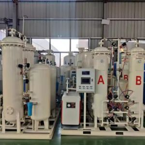 Small-Scale 220V/380V PSA Oxygen Generator for Community Hospital with 93%