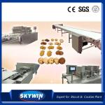 Plc Touch Screen Cookie Making Machine Cookies Production Line Mini Cookie