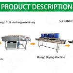 Full Automatic Vegetable And Fruit Washing Machine Brush Roller Peeler Cleaner
