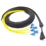 24F Pre Terminated Fiber Optic Cable , SM Pre Terminated Fiber Cable Assemblies