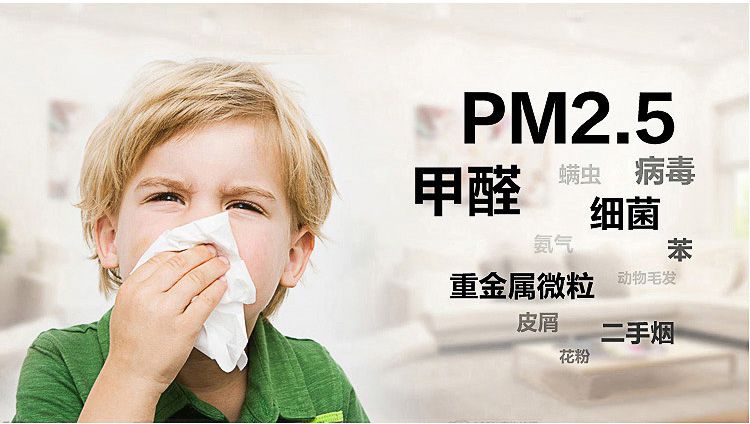 Air purifier，Air Purifier with HEPA filter home air purifier，Air Purifying