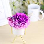 New Arrival preserved flowers ornament luxury immortal rose gift for teacher
