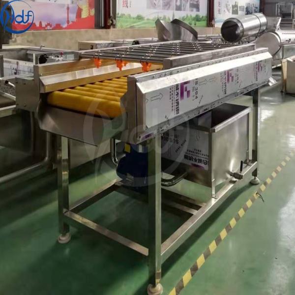 Fruit and vegetable processing equipment/wool roller high pressure spray