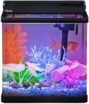 Smart 4 Gallon Desktop Betta Office Fish Tank