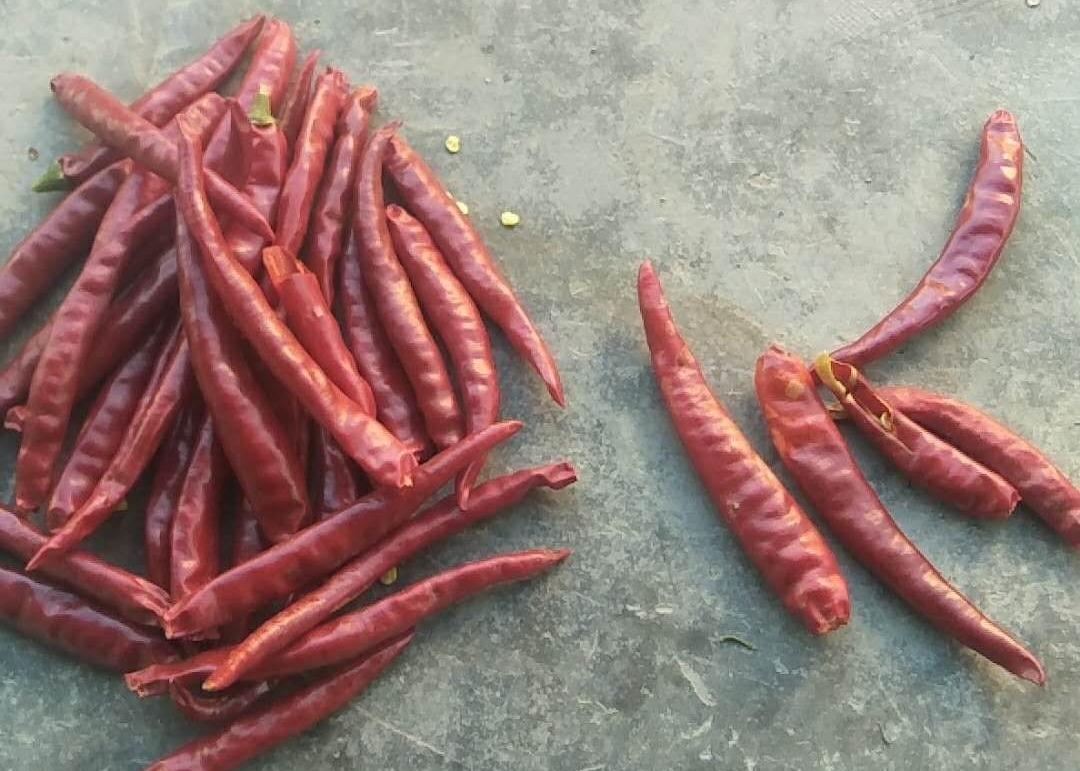 30000SHU Chinese Dried Chili Peppers Pungent Red Chili Pods Hot Tasty