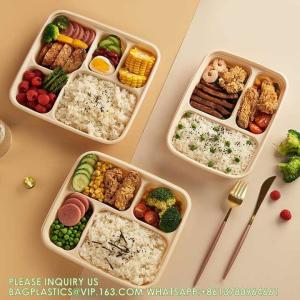 Costom Printed Paper Pulp Takeaway Sauces Packing Tableware Multi-Compartment