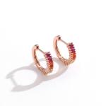 Rainbow Sterling Silver Jewelry Earrings