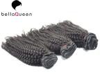 Kinky Curly Natural Black 1b Human Hair Extension For Black Women