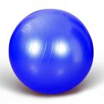 55cm Workout Yoga Ball Anti Burst Gym Ball