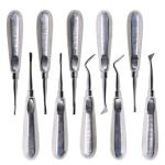 10pcs Dental Elevator Kit Dentist Surgical Tools Stainless Steel Dental Root
