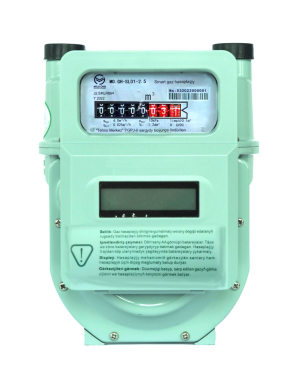 Secure Smart Gas Meter Wireless LoRaWAN Based 1.6 / 2.5 / 4.0m3/H