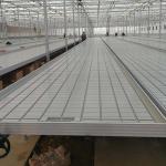 Plant Growing Greenhouse Accessories 4'×8' 4'×10' Ebb And Flow Rolling Bench
