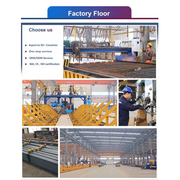 Customized Galvanized Steel Chicken Shed for Poultry Farming 7