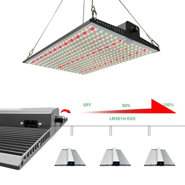Full Spectrum Indoor Plant Grow Light 2x2ft 3x3ft LED Grow Light