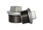 High Pressure Mechanical Plumbing Pipe Fittings Plug Pipe Coupler Ansi Standard