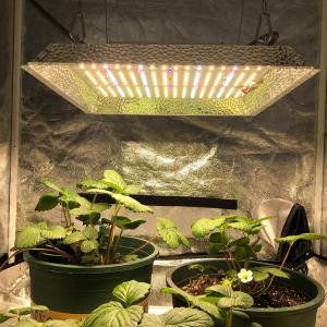 China Knob Dimming Full Spectrum 2x2 LED Grow Light factory