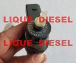 BOSCH Common rail injector 0445110369 0445110368 0445110646 0445110647