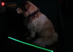 Nature Nylon Reflective Night Safety LED Dog Leash For Cats CE / ROHS